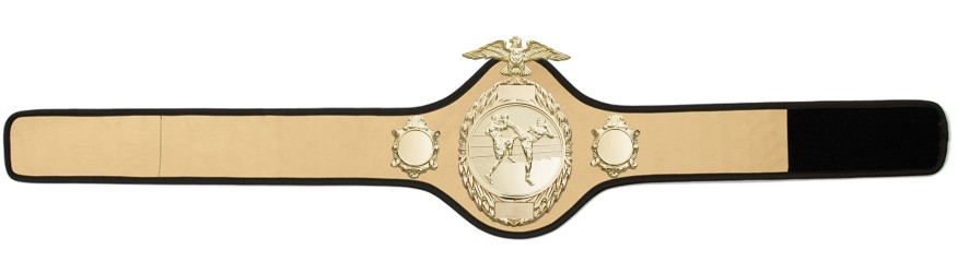THAI BOXING CHAMPIONSHIP BELT - PRO288/G/TBOG - 10 COLOURS